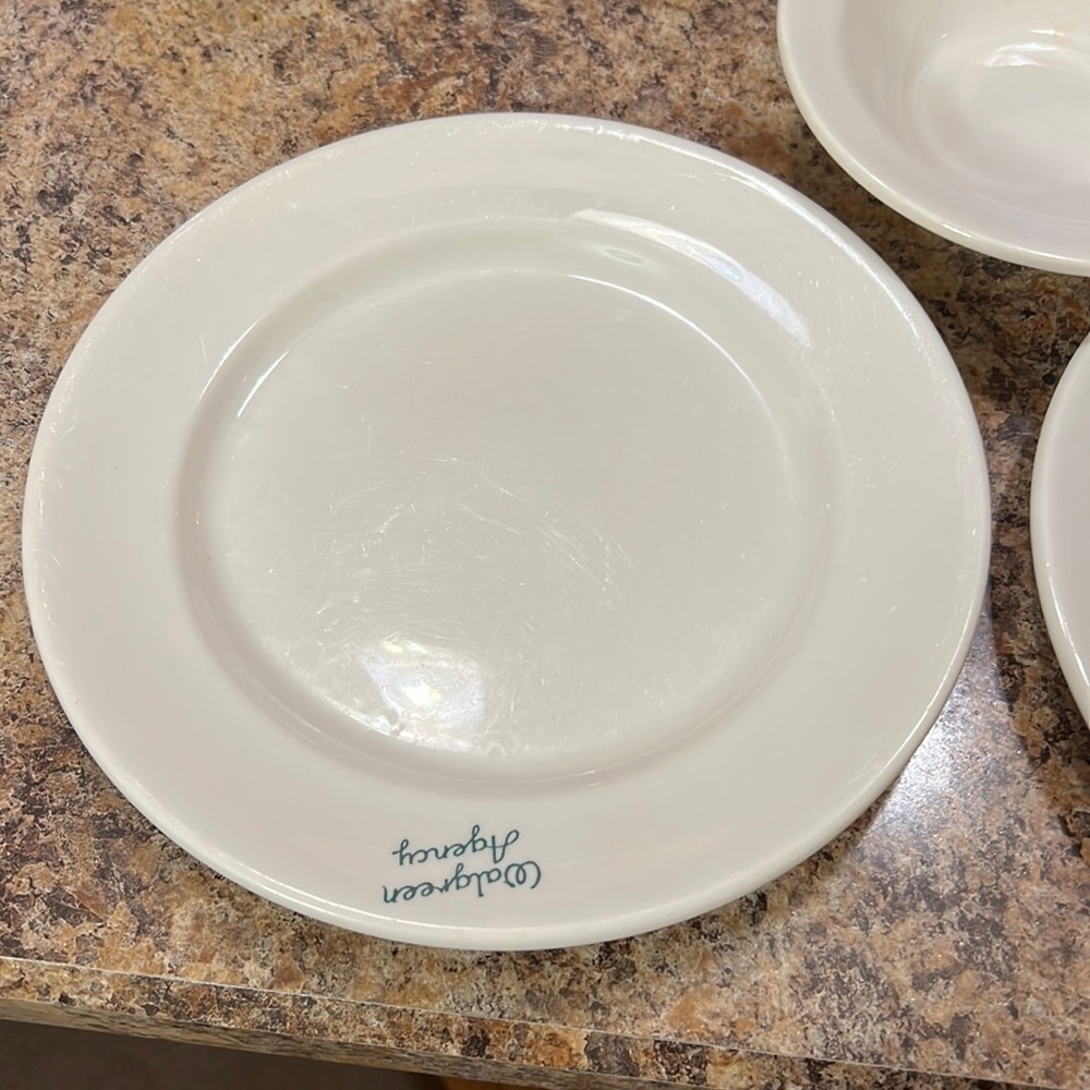 Walgreen Agency dishes 3 9 inch plates 2 Bowles 1 tea cup 1950’t